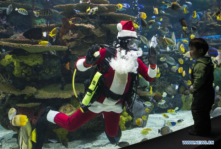 CANADA-TORONTO-AQUARIUM-SANTA CLAUS