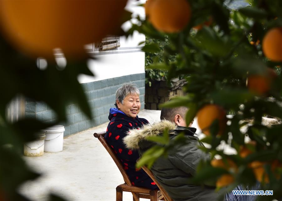 #CHINA-HUBEI-ZIGUI-NAVEL ORANGE (CN)