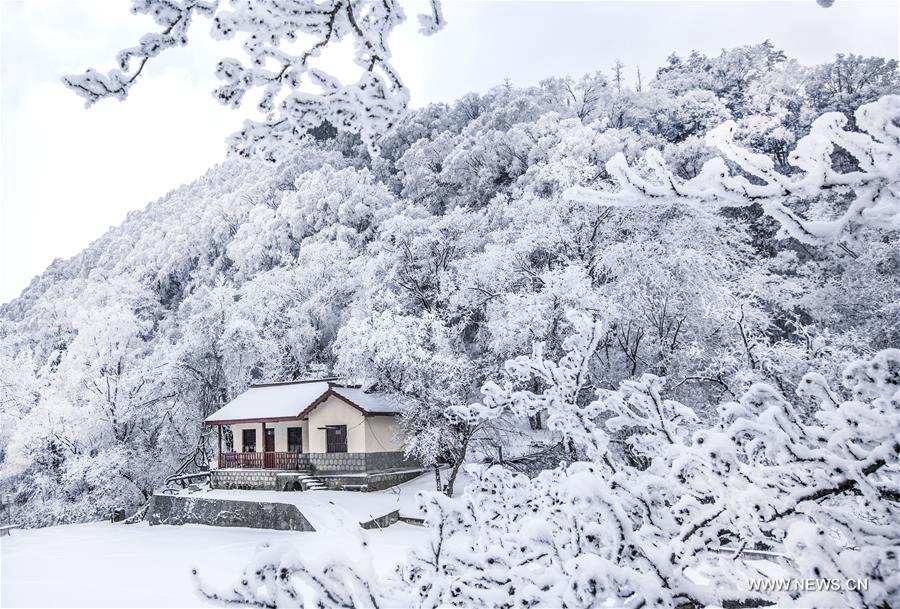 #CHINA-SHAANXI-ZIBAI MOUNTAIN-SNOWFALL (CN*)