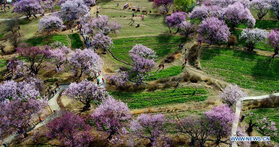 CHINA-TIBET-NYINGCHI-SCENERY(CN)