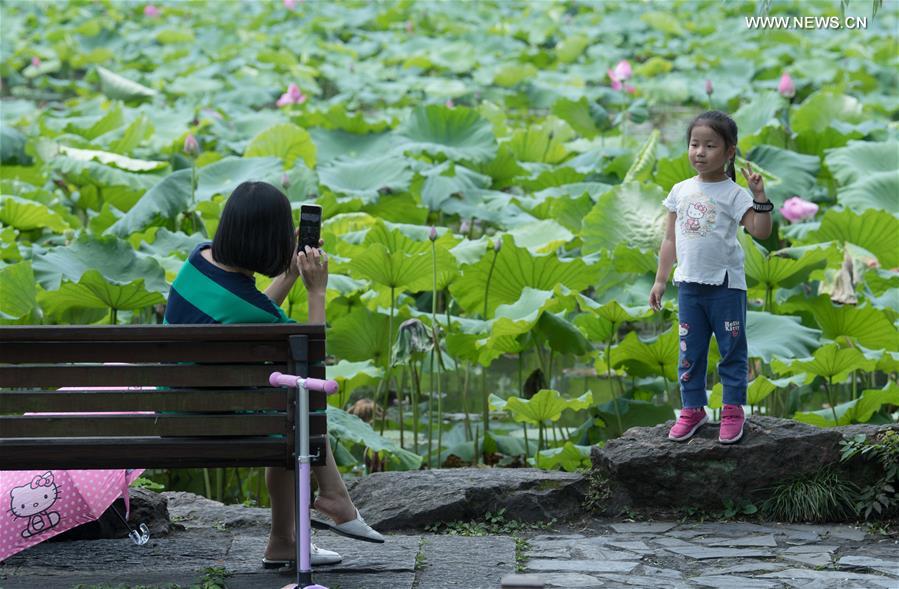 CHINA-ZHEJIANG-WEST LAKE-LOTUS FLOWERS (CN)