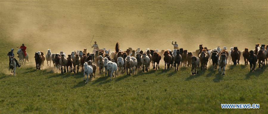 CHINA-INNER MONGOLIA-GRASSLAND-HORSES (CN)