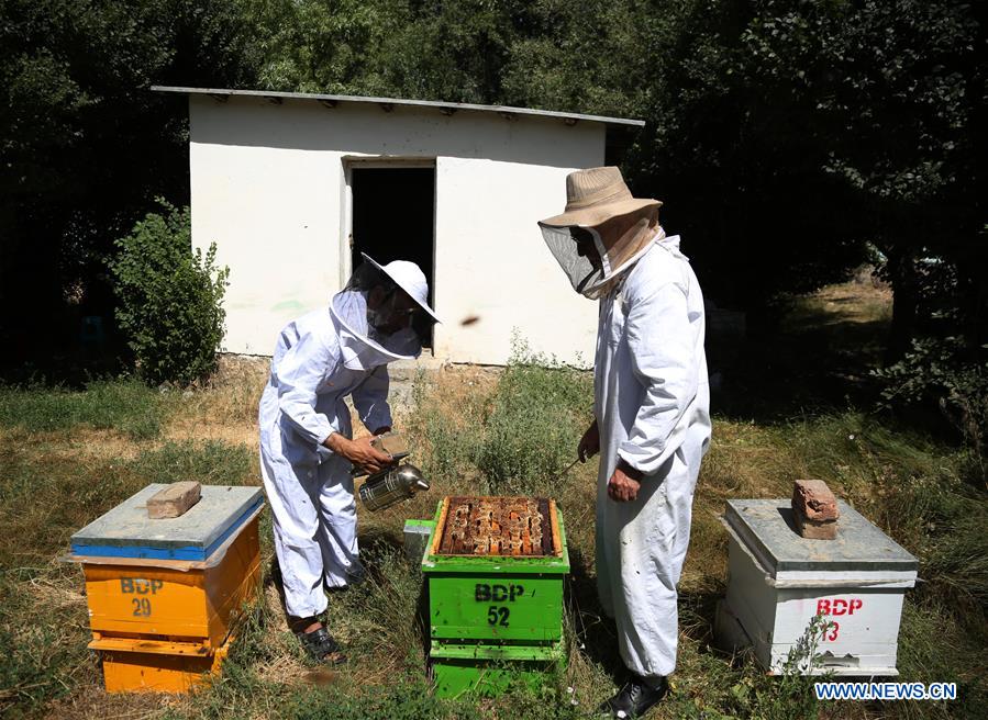 AFGHANISTAN-KABUL-BEE FARM