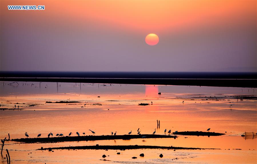 #CHINA-WETLAND PROTECTION (CN)