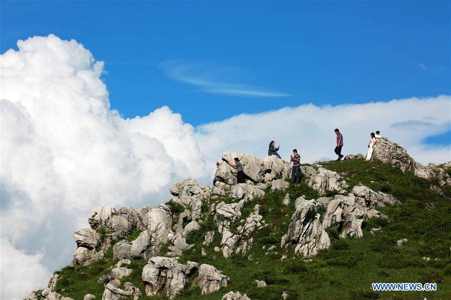 #CHINA-SUMMER-NATURE (CN)