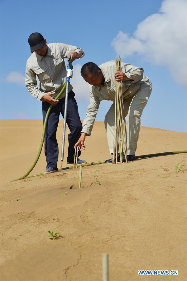 CHINA-INNER MONGOLIA-KUBUQI-DESERT CONTROL-TECHNOLOGY INNOVATION (CN) 