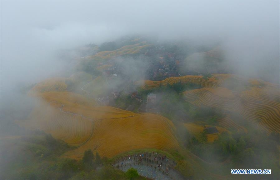 CHINA-GUANGXI-TERRACED FIELD-SCENERY (CN)