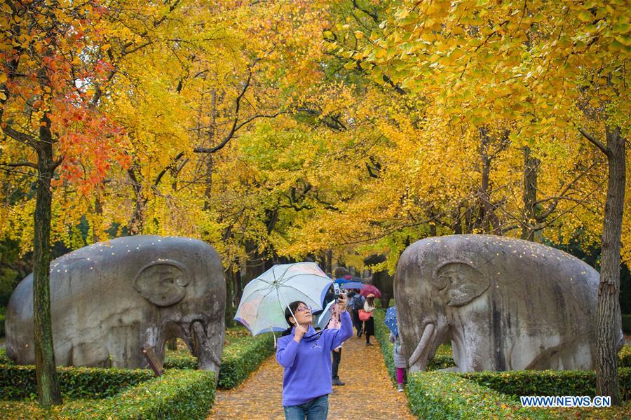 #CHINA-SCENERIES (CN)