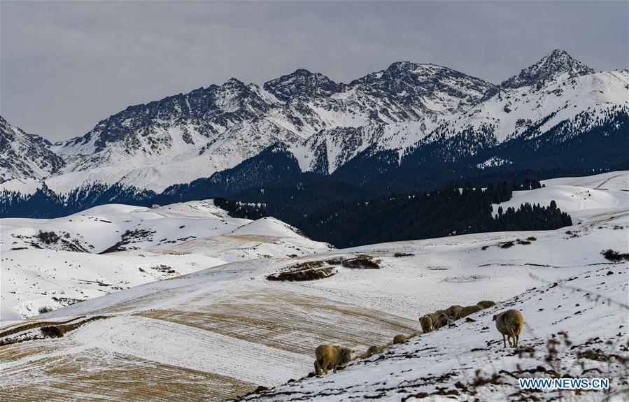 CHINA-XINJIANG-SNOWFALL (CN)