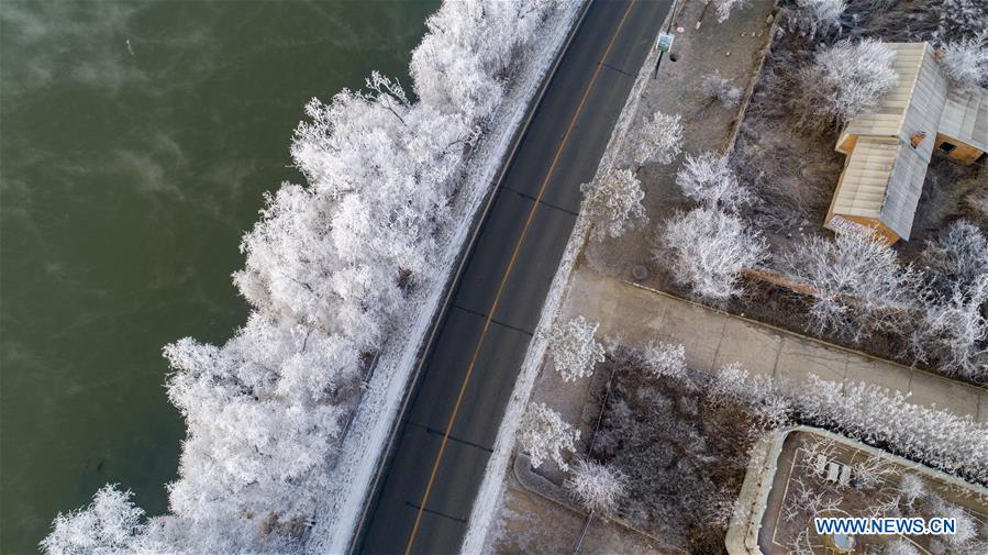 #CHINA-JILIN-FROSTY SCENERY(CN)