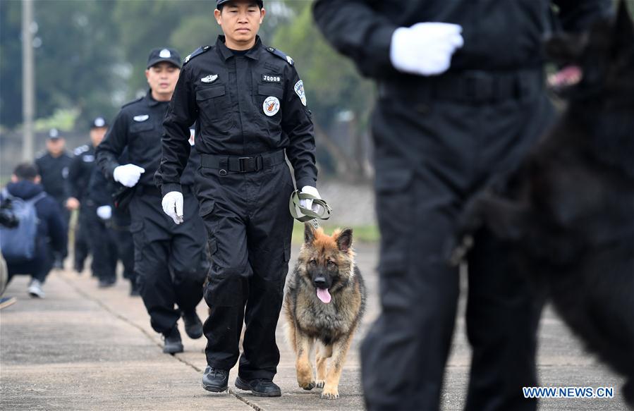 CHINA-GUANGXI-POLICE DOG-TRAINING (CN)