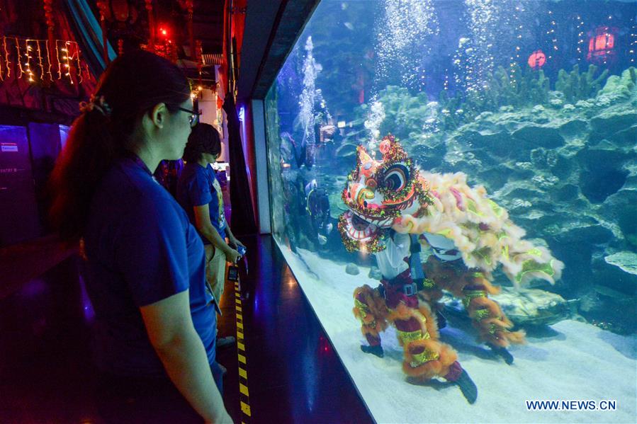 MALAYSIA-KUALA LUMPUR-UNDERWATER LION DANCE