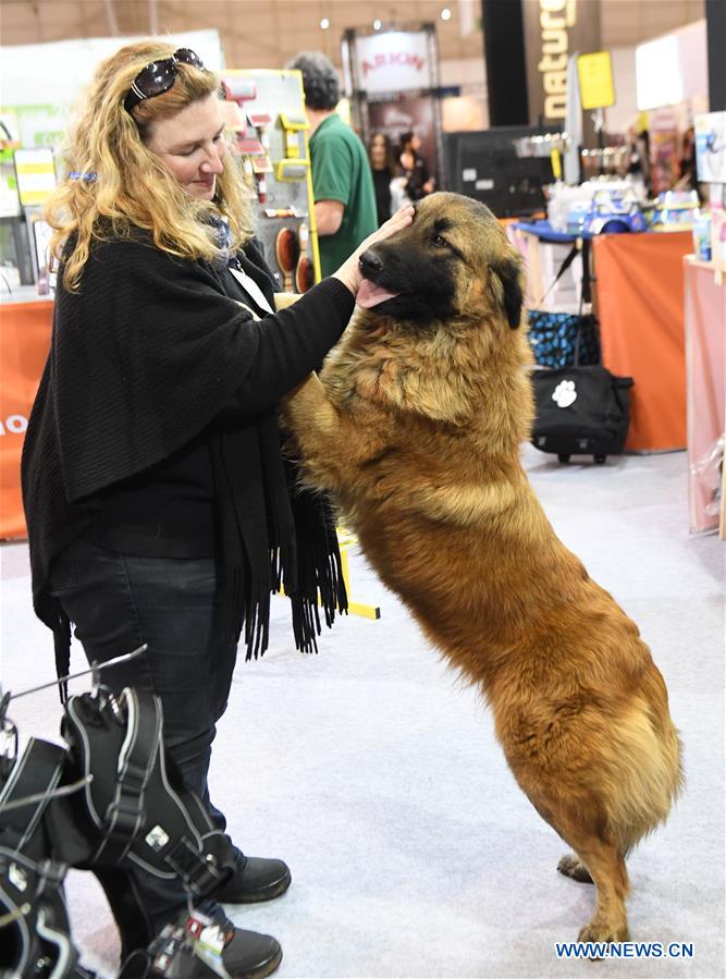 PORTUGAL-LISBON-PET SHOW