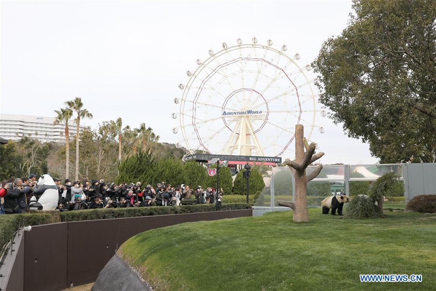 JAPAN-WAKAYAMA-PANDA-VALENTINE'S DAY