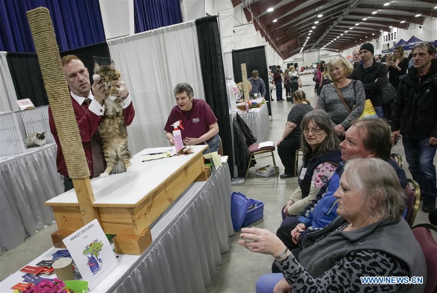 CANADA-VANCOUVER-CAT SHOW