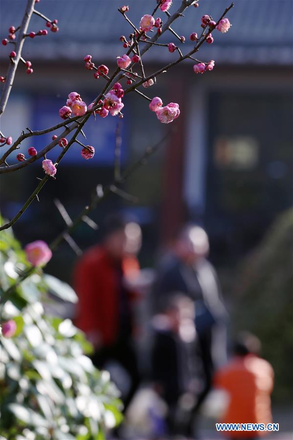 #CHINA-SPRING-FLOWERS (CN)