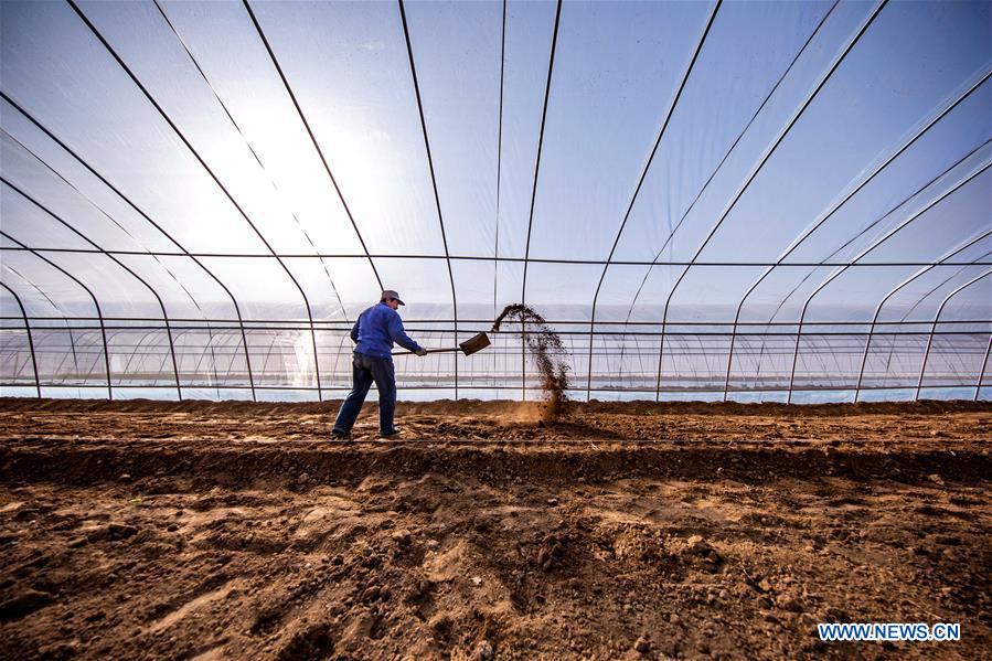 CHINA-JINGZHE-FARM WORK (CN)