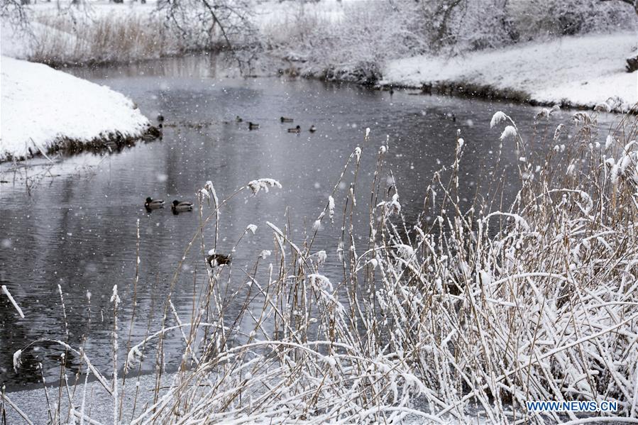 LATVIA-RIGA-WINTER SCENERY