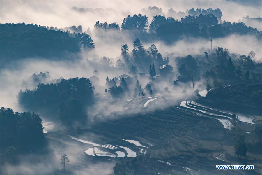 #CHINA-CHONGQING-WEATHER-FOG (CN)