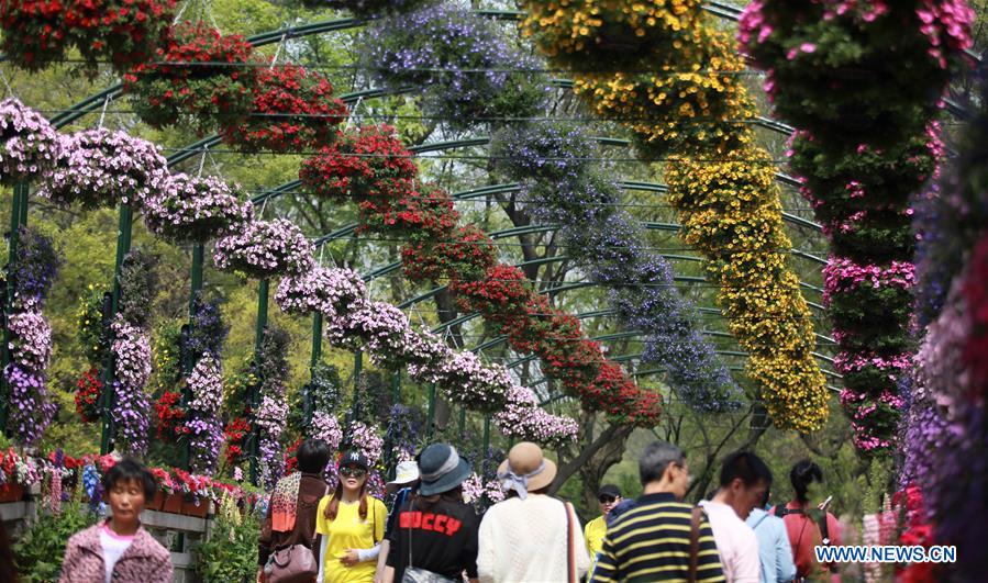 #CHINA-YANGZHOU-FLOWER EXHIBITION(CN)