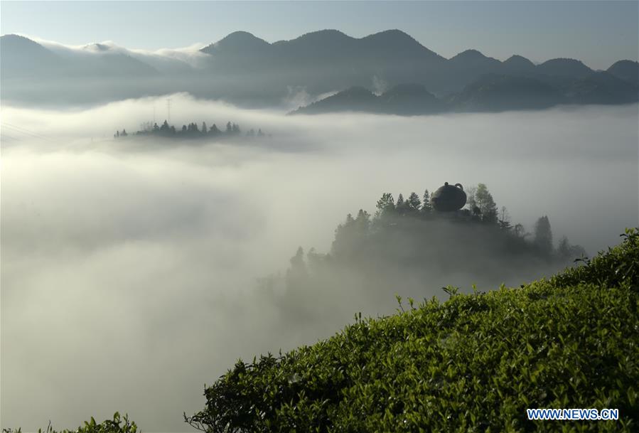 #CHINA-HUBEI-ENSHI-FOG-TEA PLANTATION(CN)