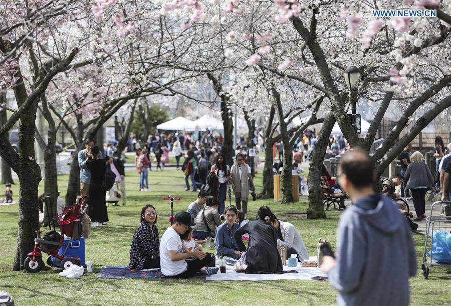 U.S.-NEW YORK-CHERRY BLOSSOM FESTIVAL