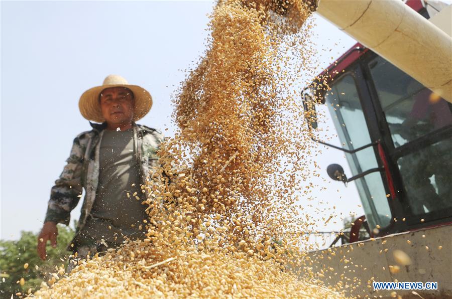 #CHINA-SUMMER-FARM WORK (CN)