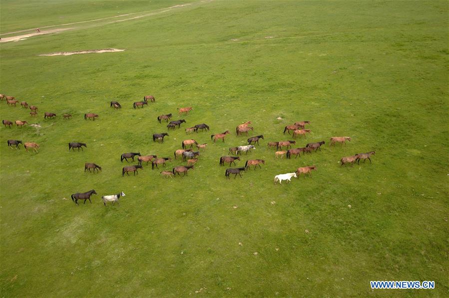 CHINA-GANSU-HORSE RANCH (CN)