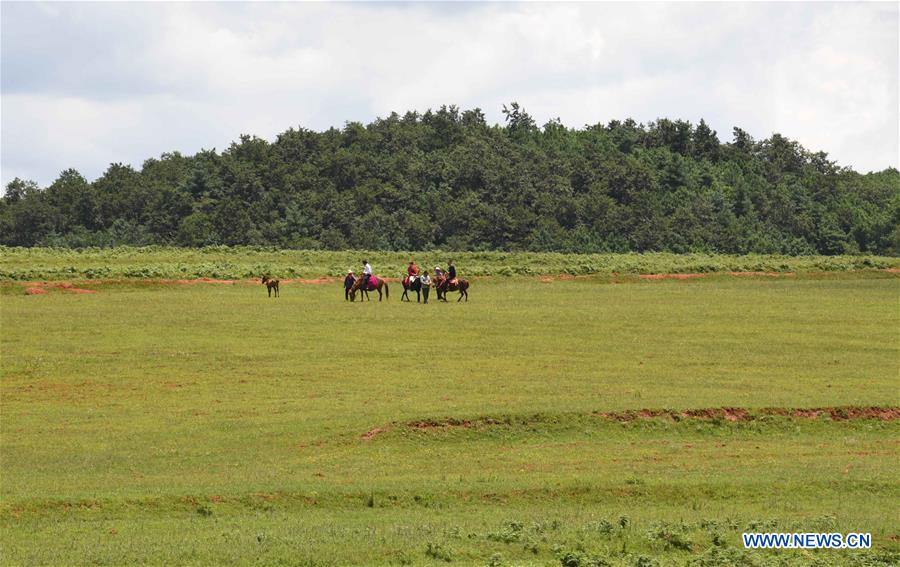 CHINA-YUNNAN-BEIDAYING-GRASSLAND (CN)