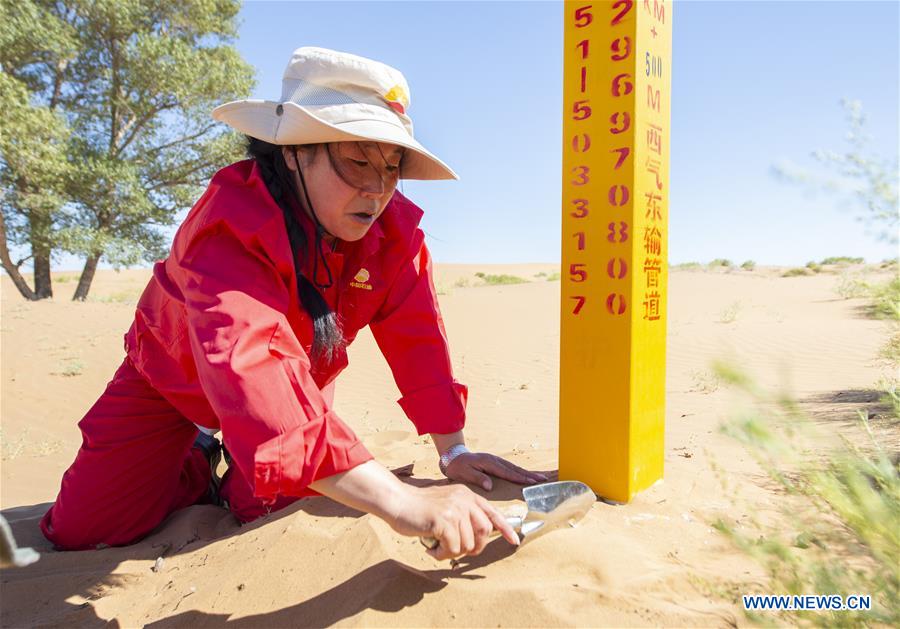 CHINA-INNER MONGOLIA-ARAXAN LEFT BANNER-DESERT-PATROLLING WORKER (CN)