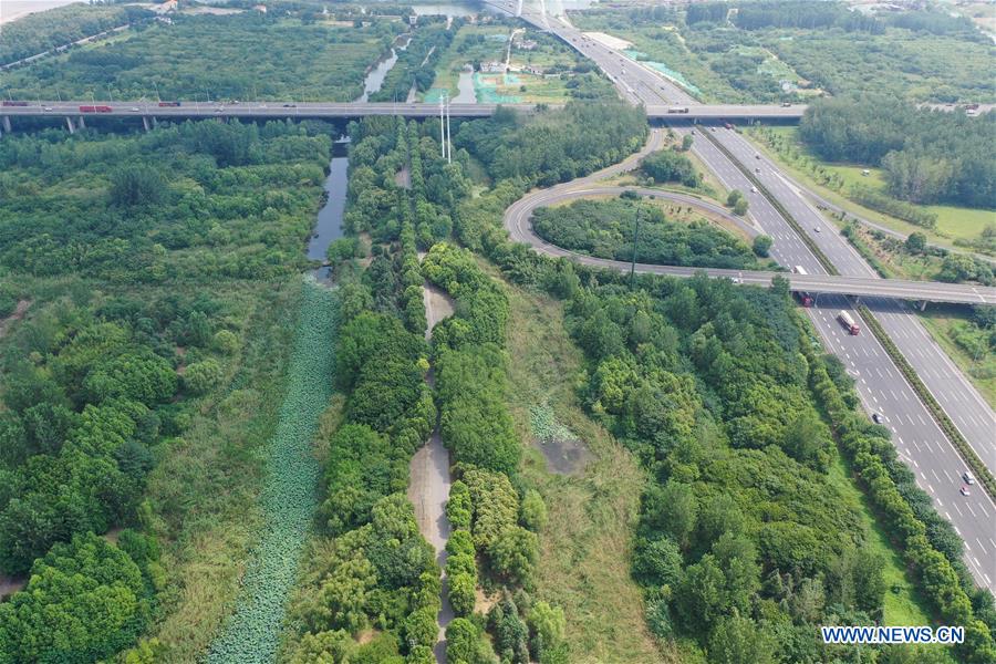 CHINA-JIANGSU-NANJING-WETLAND (CN)