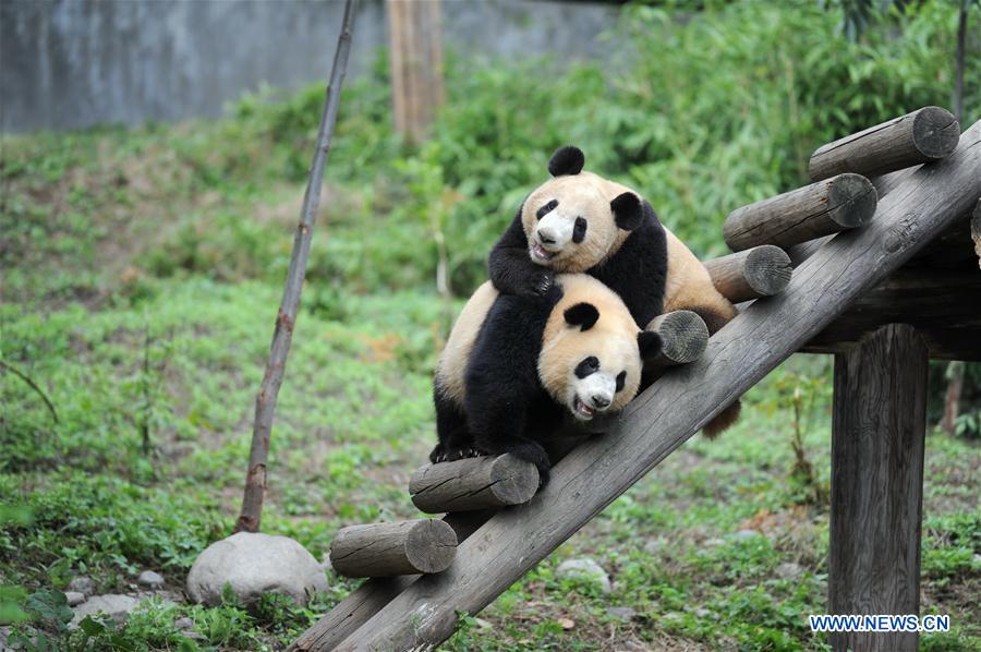 (EcoChina)CHINA-HORTICULTURAL EXPO-SHAANXI (CN)