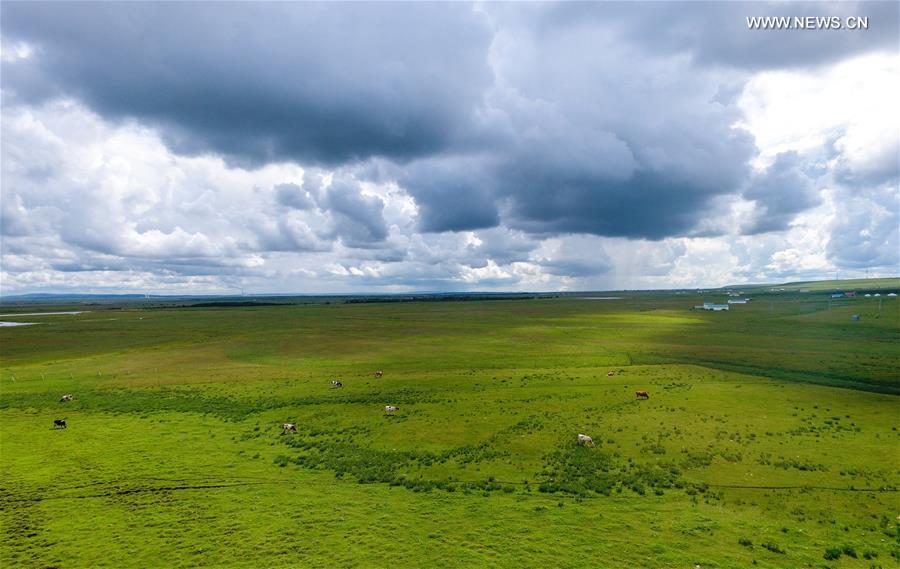 CHINA-INNER MONGOLIA-HULUN BUIR-SCENERY (CN)