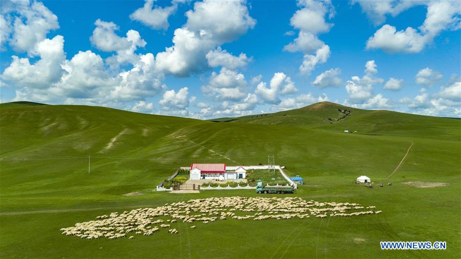 CHINA-INNER MONGOLIA-HULUNBUIR-AERIAL VIEW (CN)