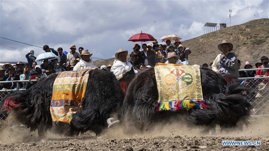 (InTibet)CHINA-TIBET-XIGAZE-BULLFIGHT(CN)