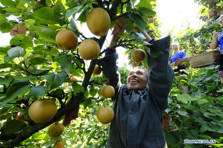 #CHINA-HARVEST FESTIVAL-CELEBRATION (CN)