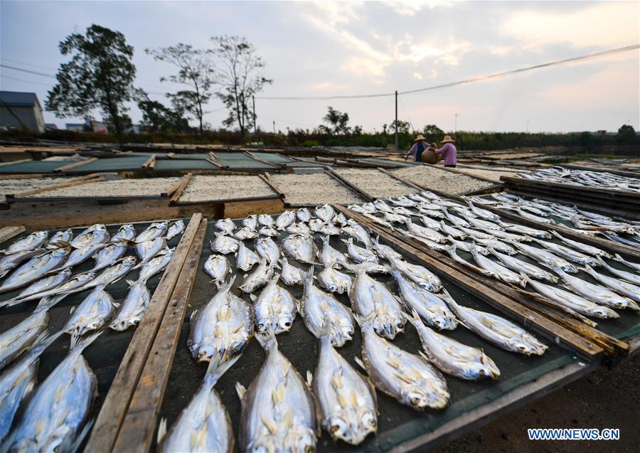 CHINA-JIANGXI-DRIED FISH (CN)