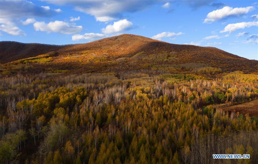 CHINA-HEIONGJIANG-TONGJIANG-AUTUMN SCENERY (CN)