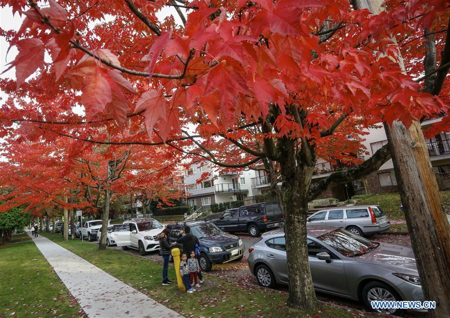 CANADA-VANCOUVER-AUTUMN SCENERY