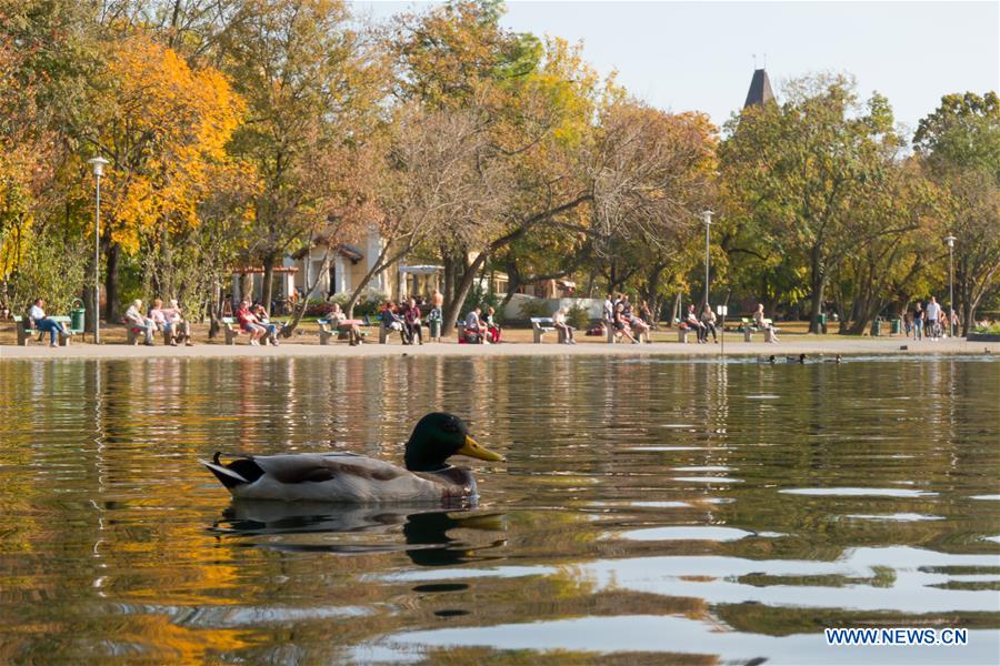 HUNGARY-BUDAPEST-AUTUMN SCENERY 