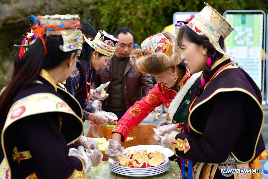 CHINA-TIBET-NYINGCHI-APPLE-TRAINING (CN)