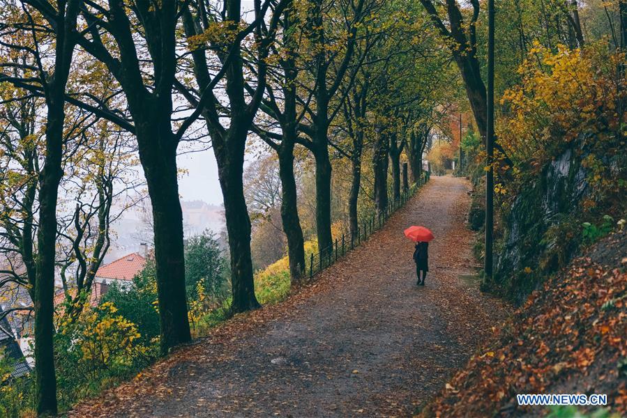 NORWAY-AUTUMN-SCENERY