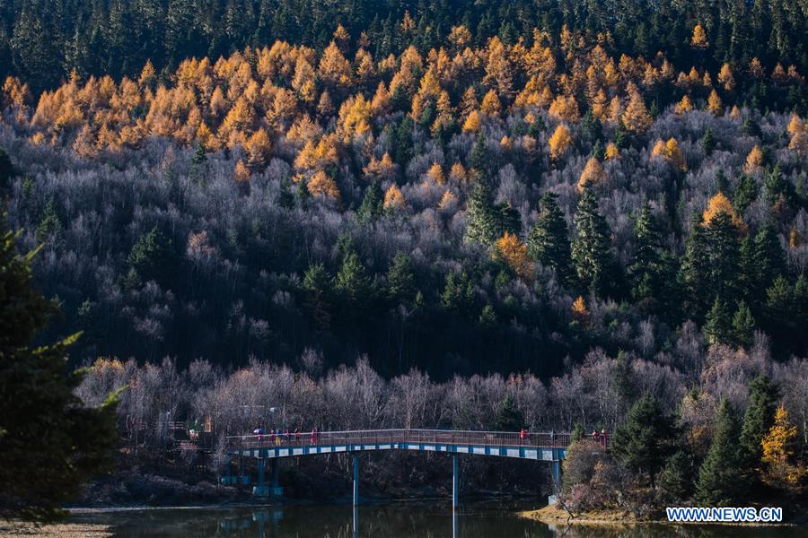 CHINA-YUNNAN-SHANGRI-LA-POTATSO NATIONAL PARK-AUTUMN SCENERY (CN)