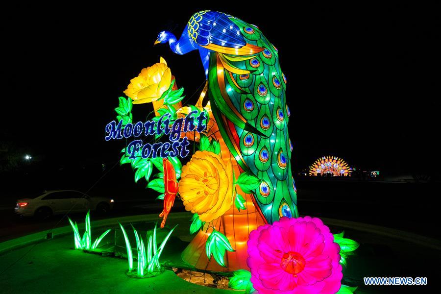 U.S.-LOS ANGELES-LANTERN ART FESTIVAL