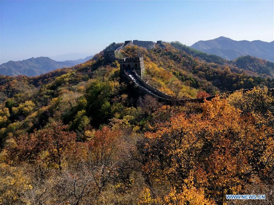 (BeijingCandid)CHINA-BEIJING-AUTUMN (CN)