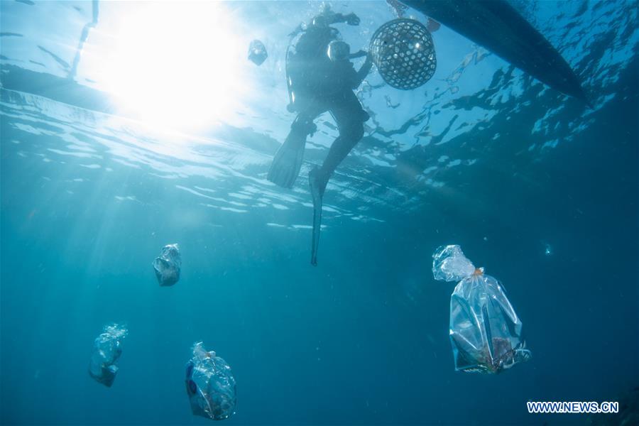 INDONESIA-BALI-CORAL REHABILITATION