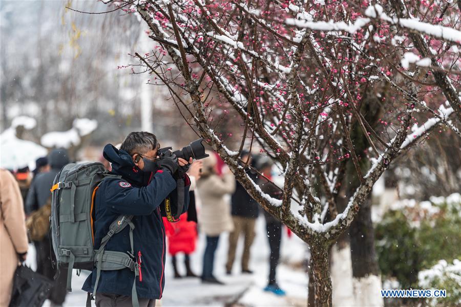 CHINA-GUIZHOU-GUIYANG-SNOW SCENERY(CN)