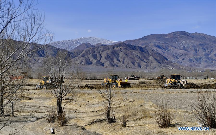 CHINA-TIBET-XIGAZE-AGRICULTURE (CN)