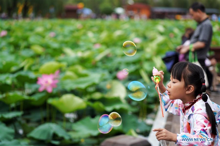 CHINA-YUNNAN-KUNMING-LOTUS FLOWERS (CN)