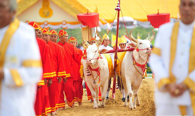 Annual plowing ceremony held in Bangkok, Thailand